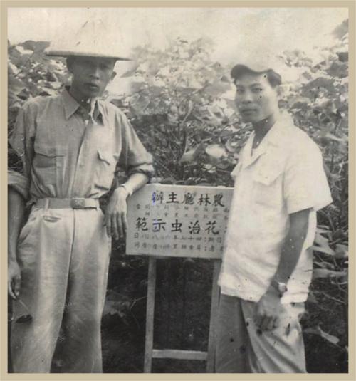 花卉治蟲示範