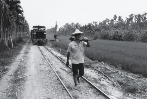 1995年台糖小火車在麟洛