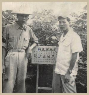 花卉治蟲示範